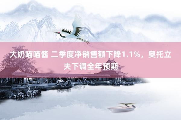 大奶喵喵酱 二季度净销售额下降1.1%，奥托立夫下调全年预期