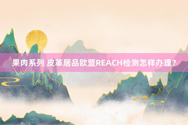 果肉系列 皮革居品欧盟REACH检测怎样办理？